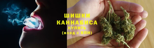 ECSTASY Новозыбков