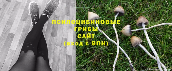 мяу мяу мука Арсеньев